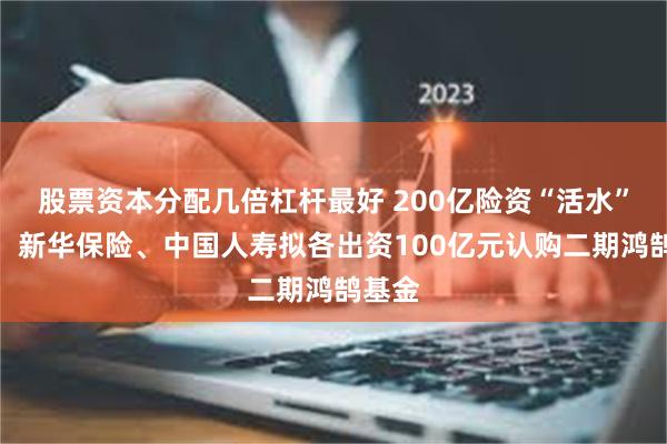 股票资本分配几倍杠杆最好 200亿险资“活水”要来！新华保险、中国人寿拟各出资100亿元认购二期鸿鹄基金