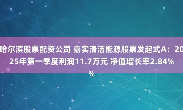 哈尔滨股票配资公司 嘉实清洁能源股票发起式A：2025年第一季度利润11.7万元 净值增长率2.84%