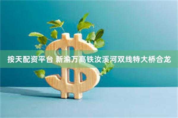 按天配资平台 新渝万高铁汝溪河双线特大桥合龙