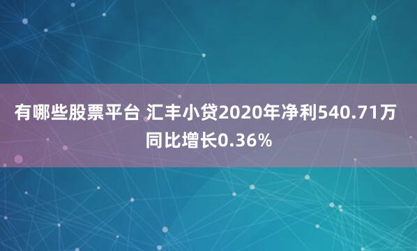 有哪些股票平台 汇丰小贷2020年净利540.71万 同比增长0.36%
