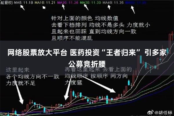 网络股票放大平台 医药投资“王者归来” 引多家公募竞折腰