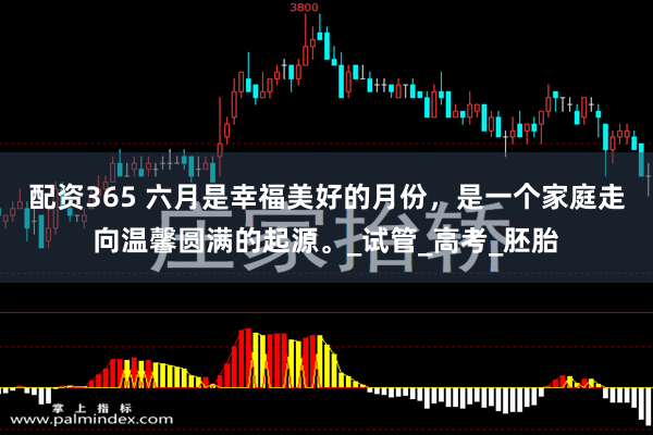 配资365 六月是幸福美好的月份，是一个家庭走向温馨圆满的起源。_试管_高考_胚胎