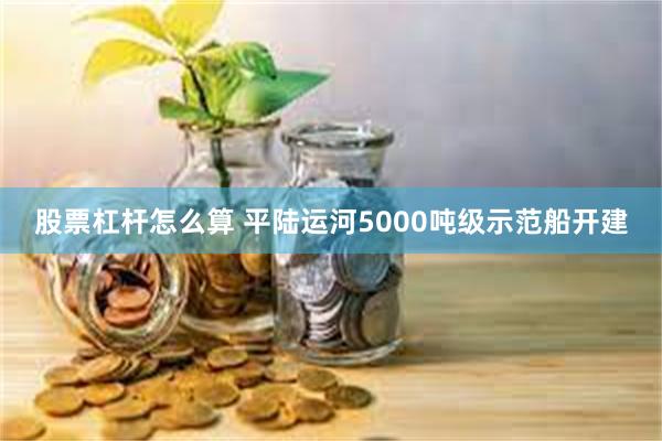 股票杠杆怎么算 平陆运河5000吨级示范船开建